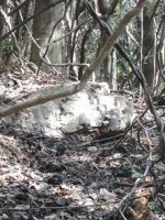 足利市磯入古墳群50_54号墳