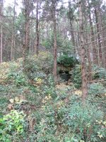 佐野市市の沢古墳群4号墳