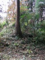 佐野市市の沢古墳群5_7_13号墳