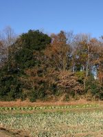 栃木市甲塚古墳