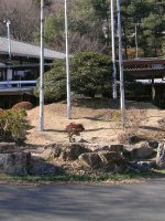栃木市角堂山古墳
