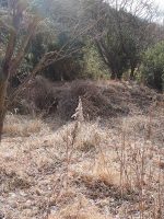 足利市叶花古墳