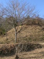 栃木市狩岡古墳