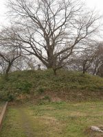 足利市春日岡古墳群1号墳（本郷古墳）