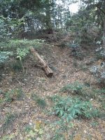 足利市北郷・稲荷山・西耕地古墳群1号墳