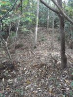 足利市北郷・稲荷山・西耕地古墳群45号墳