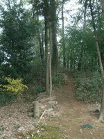 足利市小曽根古墳群3_4号墳