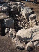 佐野市黒袴台遺跡SZ-116