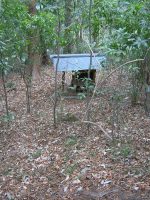 小山市桑55号墳