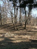 小山市桑41_58_59_60号墳