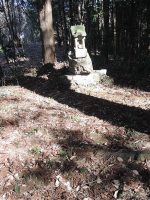 足利市丸木8号墳（蔵王権現古墳）