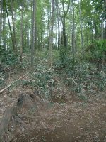 宮代町稲荷塚古墳