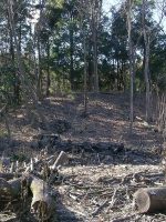 小山市宮内古墳群5号墳