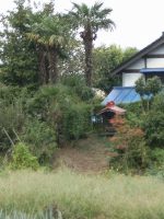 春日部市向之内塚山古墳