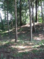 足利市中日向3_4_5号墳