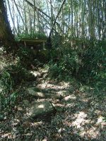 佐野市中妻古墳群6号墳