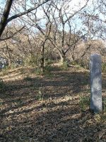 小山市中妻古墳