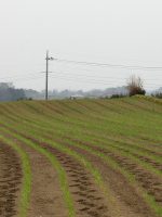小山市成沢1号墳跡