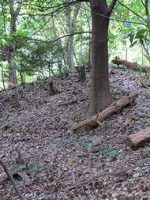 足利市西根古墳群40～70号墳付近