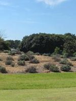 小山市西高椅1_2_3号墳