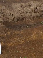 小山市西高椅古墳群45号墳