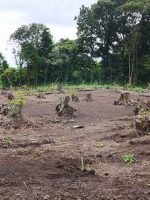 小山市西高椅古墳群47_48号墳