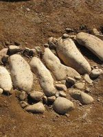 小山市西高椅古墳群竪穴式小石槨