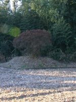 野木町大塚Ⅱ古墳