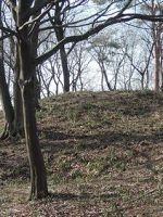 足利市岡崎山古墳群4_5_6_7号墳