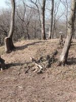 足利市岡崎山24_29_31_32号墳