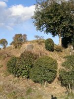 栃木市小野口古墳群2号墳