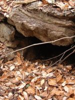 足利市大平古墳群3号墳