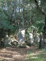 佐野市大枡塚古墳