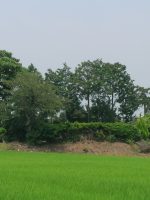 栃木市大枡塚北古墳