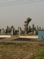 小山市大本観音堂古墳