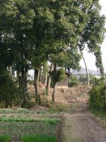 小山市天神山古墳（国府）