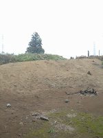 足利市勢至堂裏古墳（上宿古墳、矢場川村41号墳）