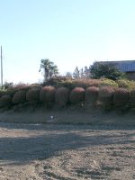 野木町柴山古墳