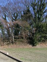 小山市下泉古墳群1_2_3号墳