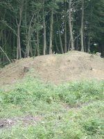 足利市菅田古墳群28_29号墳