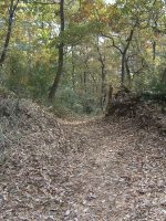 足利市助戸山古墳群14_15_17号墳