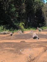 小山市西高椅古墳群52～60号墳