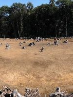 小山市西高椅古墳群72_73号墳