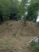 足利市高松古墳群3_5号墳