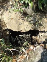 足利市田中古墳群2号墳