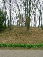 小山市寺野東13号墳