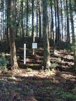 佐野市遠原古墳群1号墳