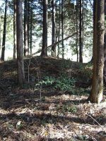 佐野市遠原古墳群2_4号墳