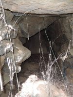 足利市殿入6号墳（雷神様）