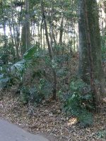 小山市塚崎古墳群1_7_9_11号墳